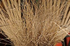 オリジナルTシャツの作成について