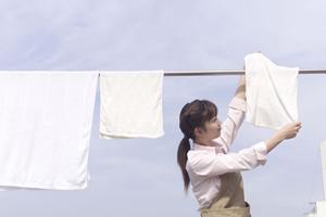 アンケート入力代行と短納期での提供