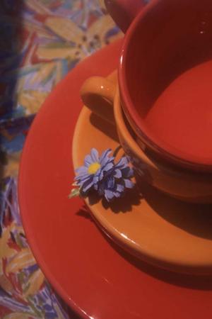 南区エリアで宅配クリーニングを請け負っています